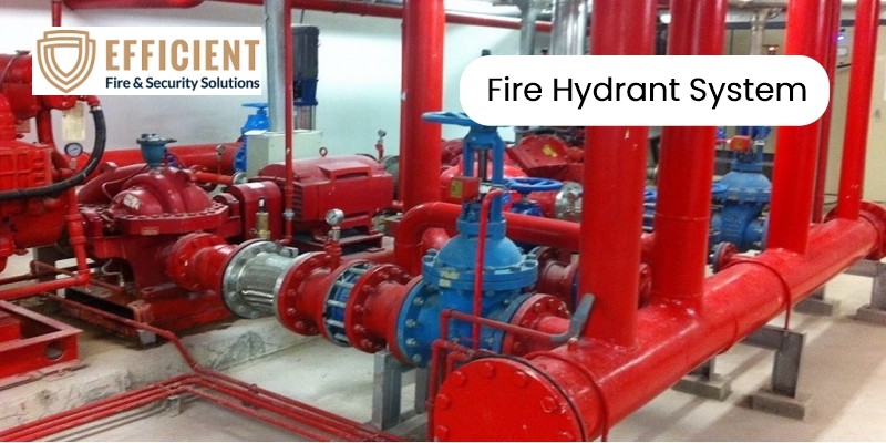 Understanding Fire Hydrant Systems